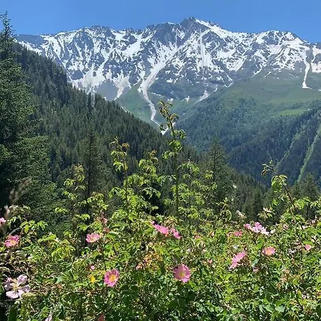 Emeraude 3* Peisey-Nancroix